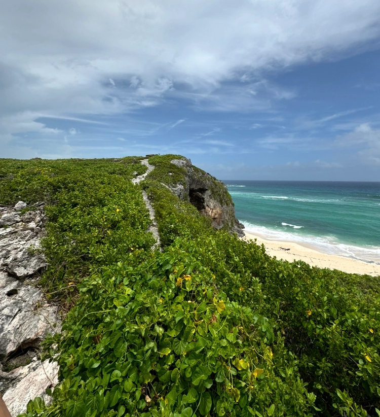 Cover media image