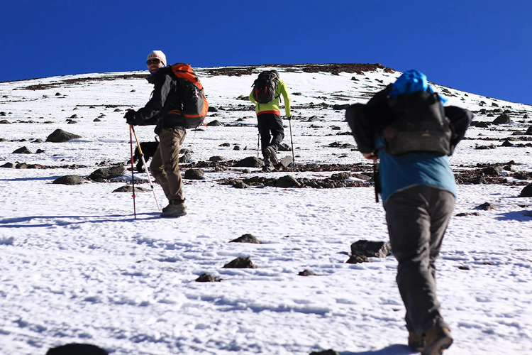 Cover media image