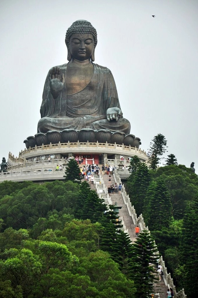Cover media image