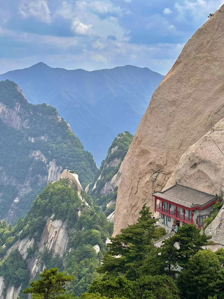 Cover media image