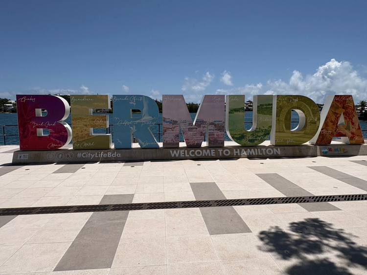 Cover media image