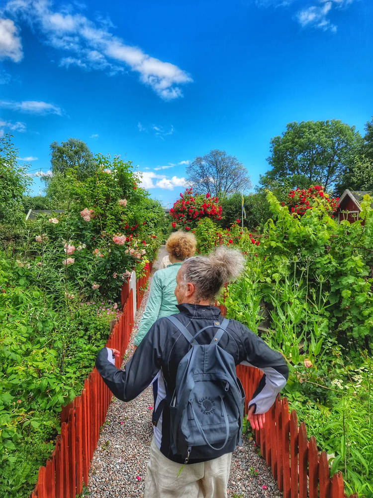 Cover media image