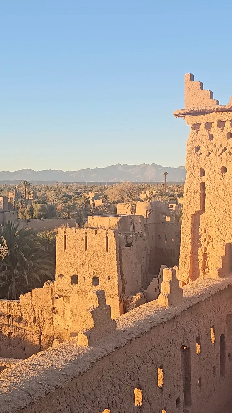 Cover media image