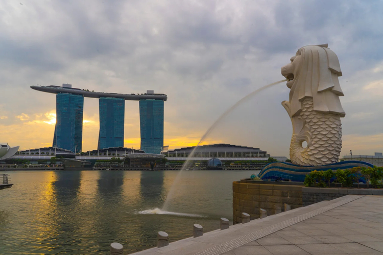 Cover media image