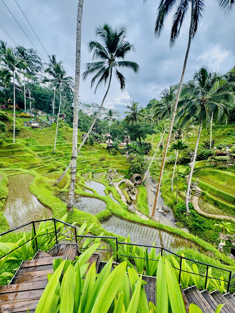 Cover media image