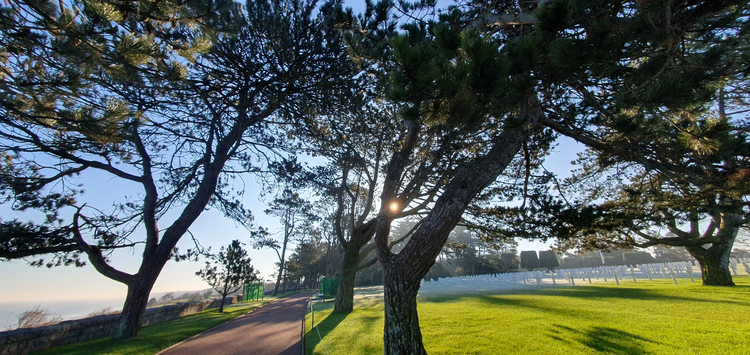 Cover media image