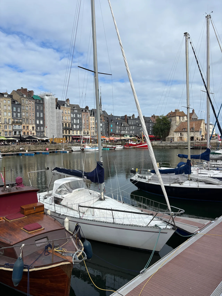Cover media image