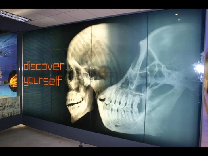 Cover media image