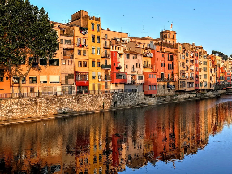 Cover media image