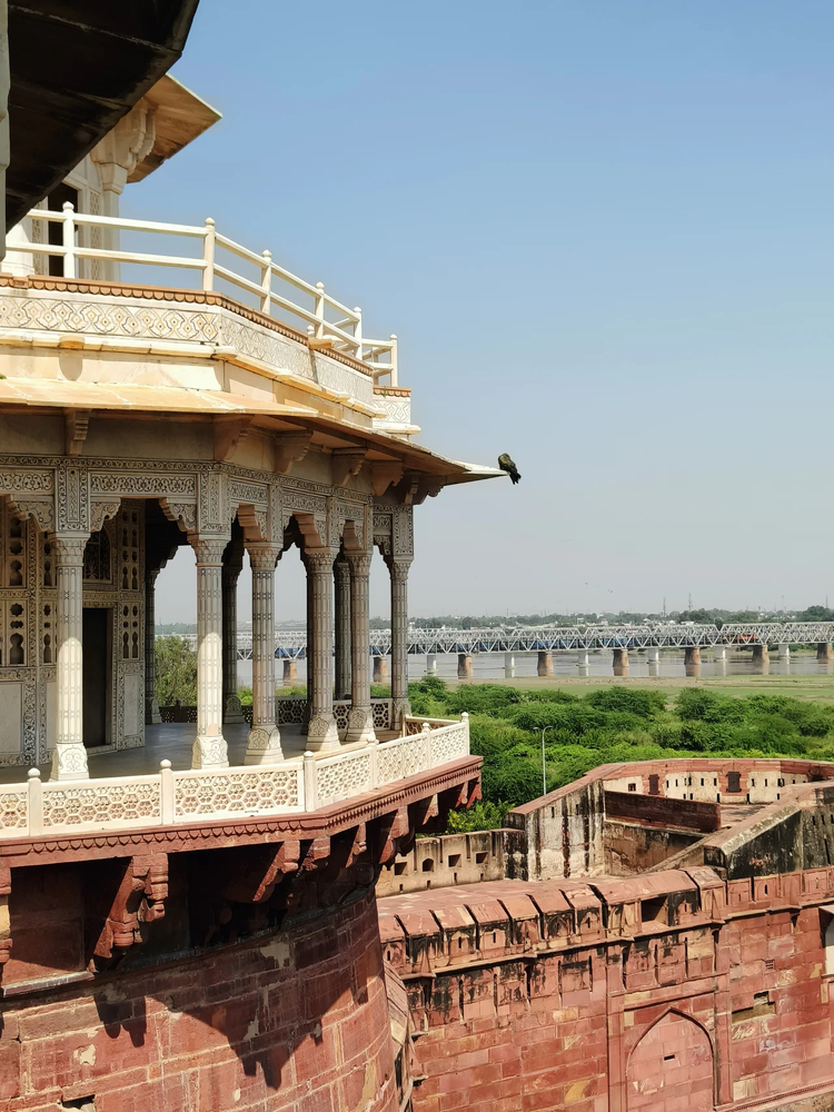 Cover media image