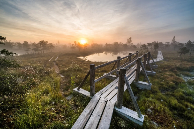 Cover media image