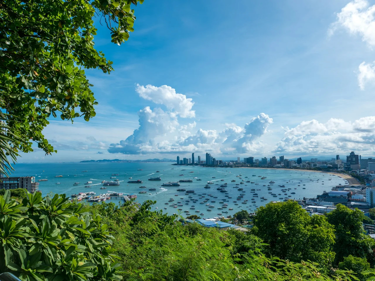 Cover media image