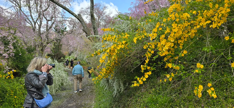 Cover media image