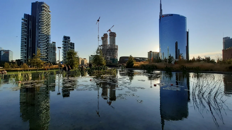 Cover media image