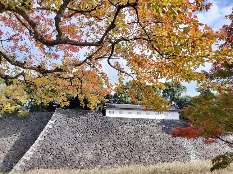 Cover media image