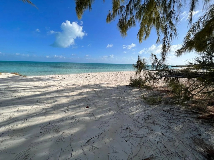 Cover media image