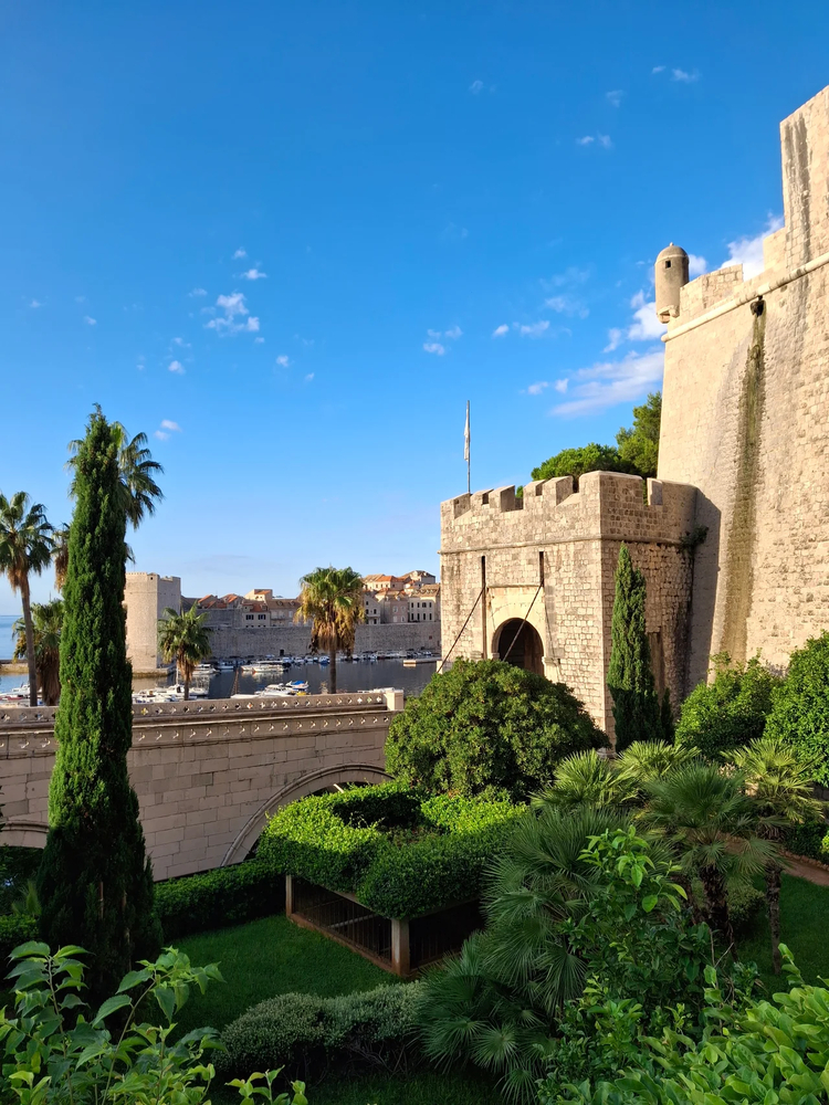 Cover media image