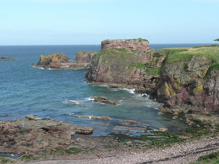 Cover media image