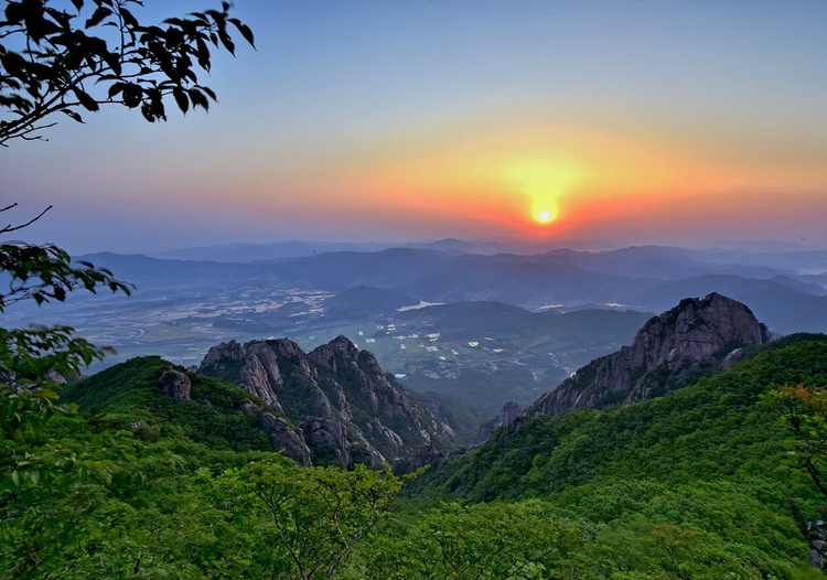 Cover media image