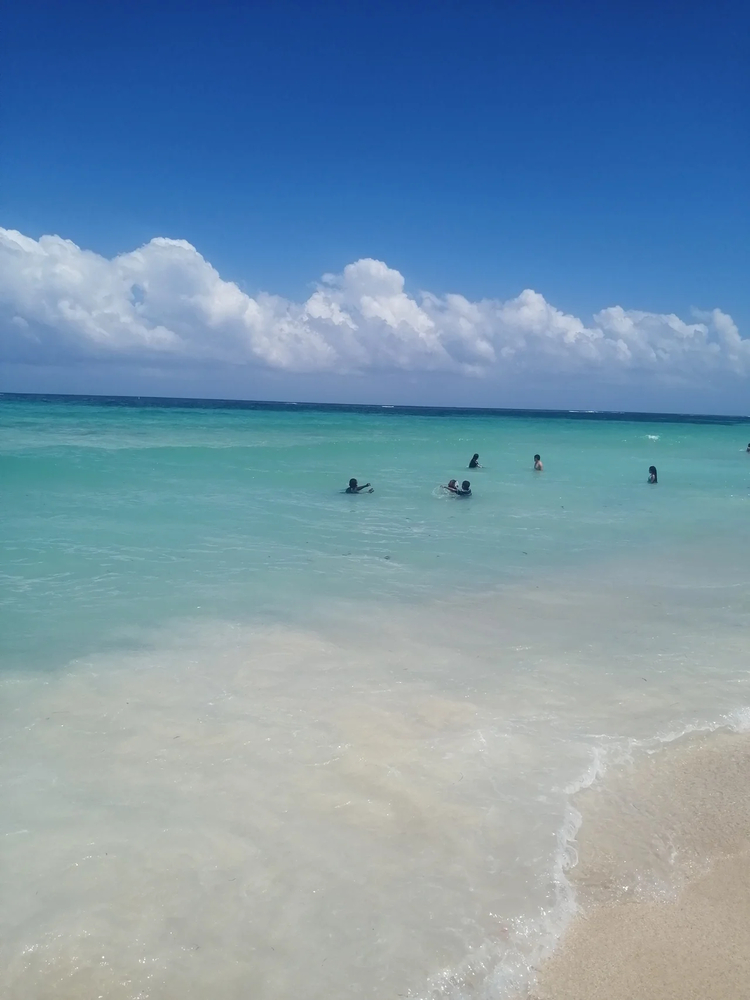 Cover media image