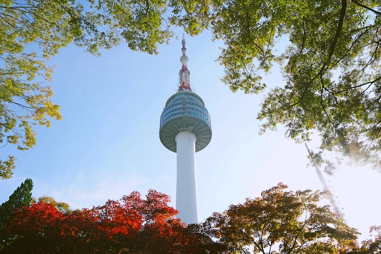 Ultimate Seoul: Full-Day Private Driving Tour from Highlights to Hidden Layers