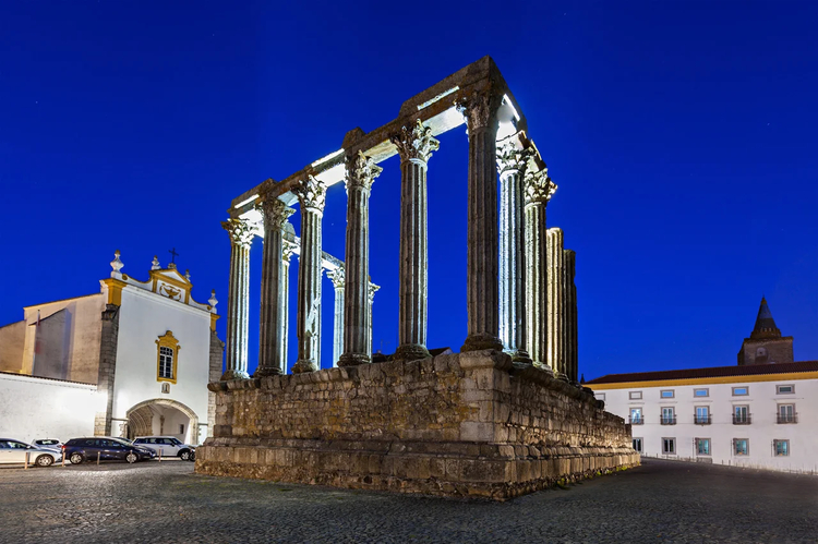Cover media image