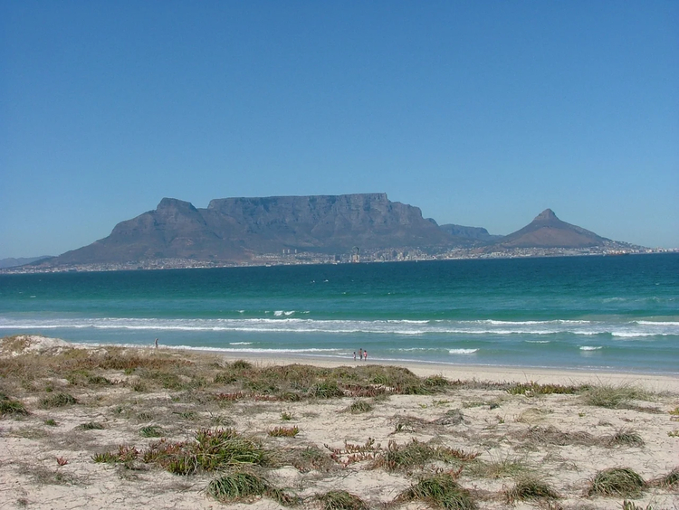 Cover media image