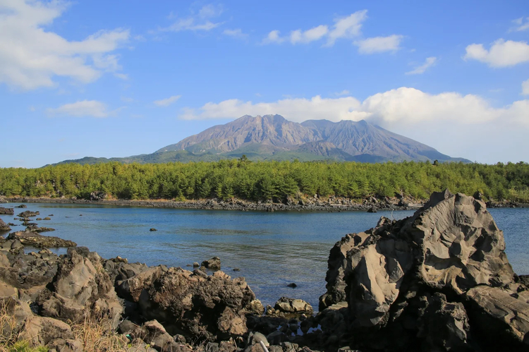 Cover media image