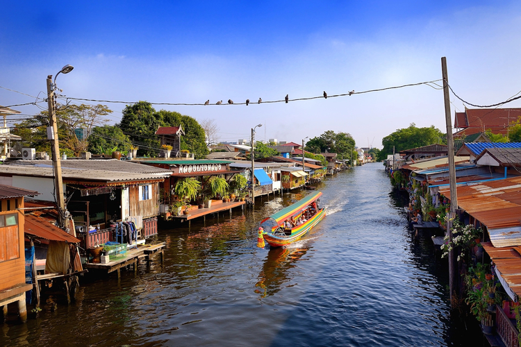 Cover media image
