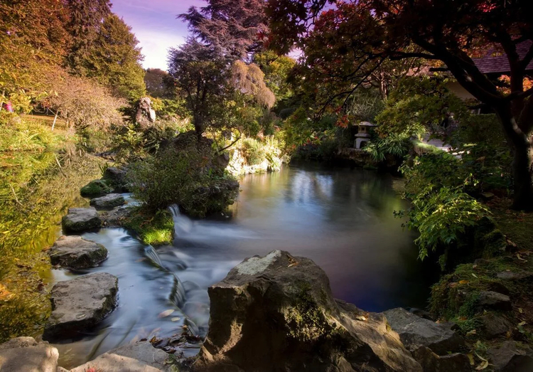 Cover media image