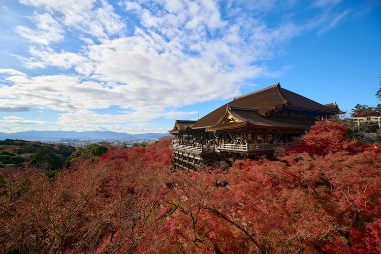 Complete Kyoto: Full-Day Walking Tour Through the Neighbourhoods