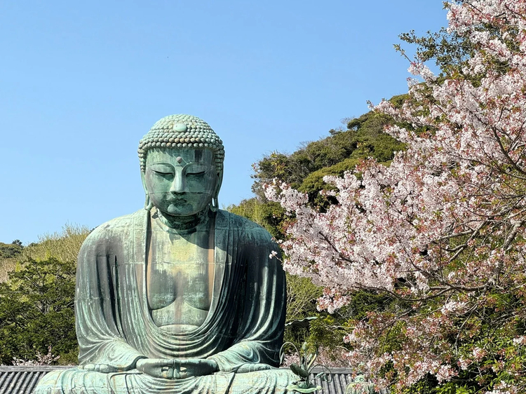 Cover media image