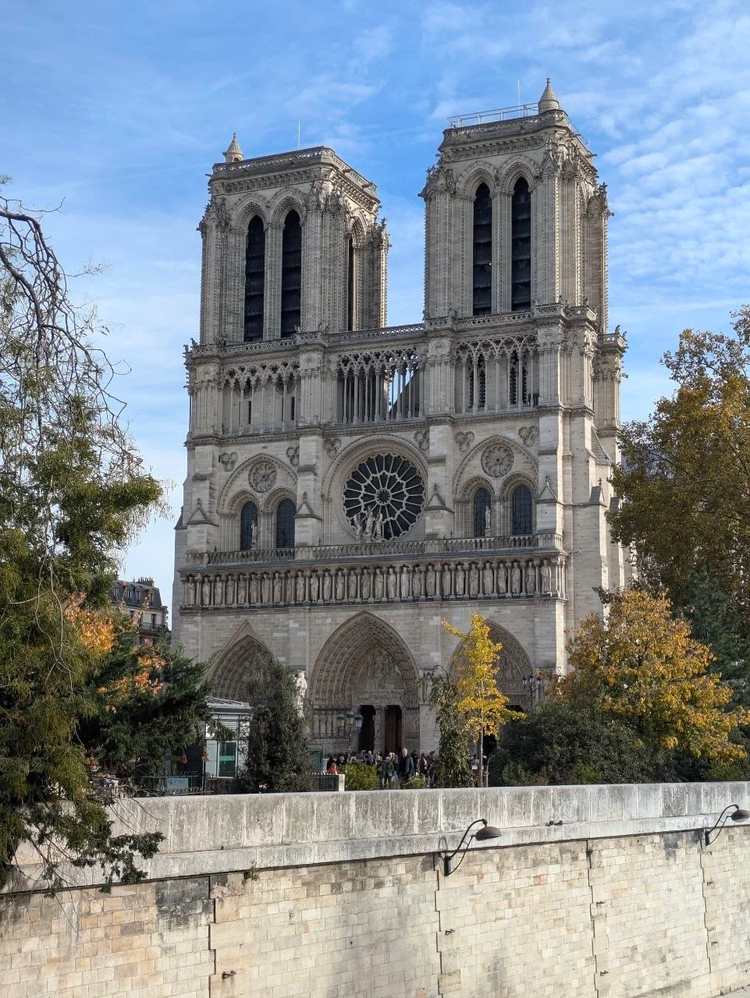 Cover media image