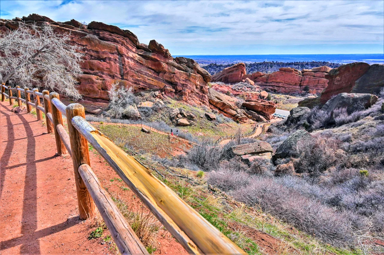 Cover media image