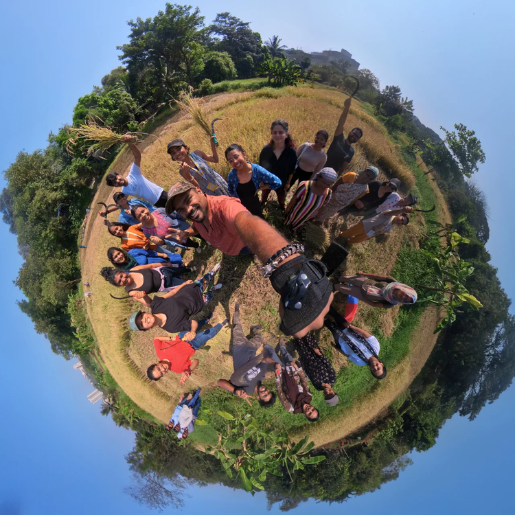 Cover media image