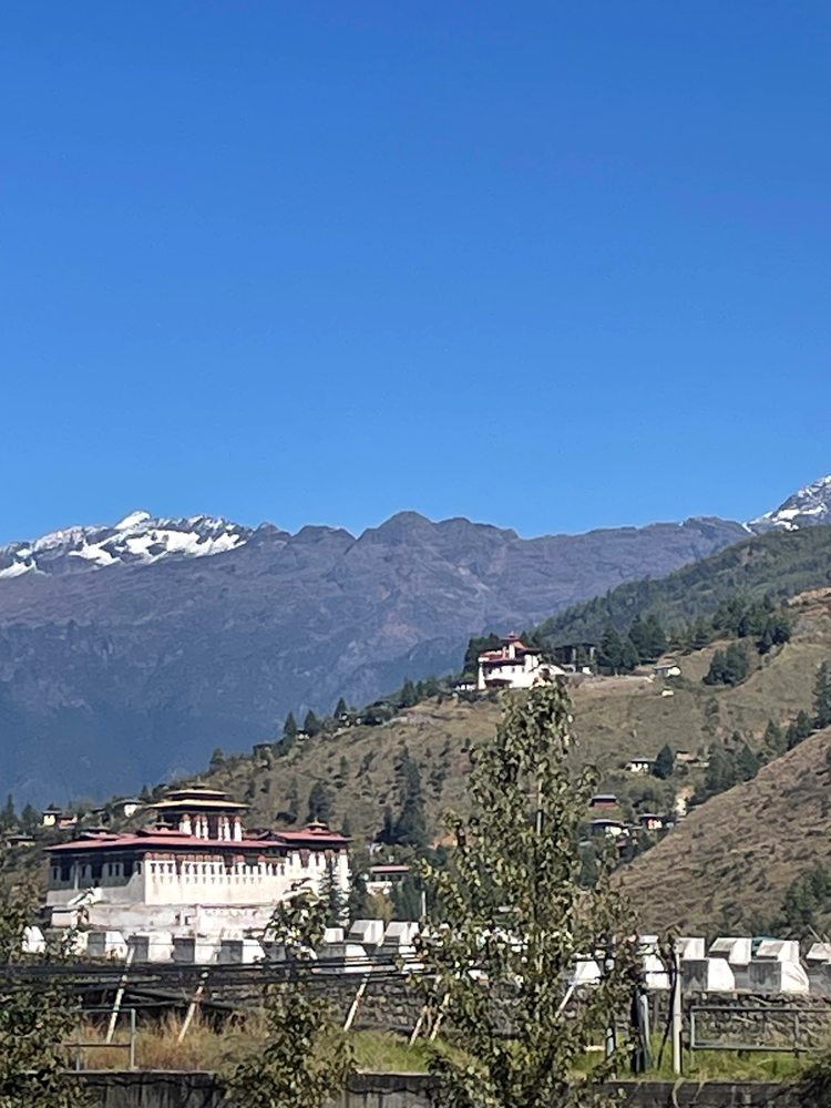 Cover media image
