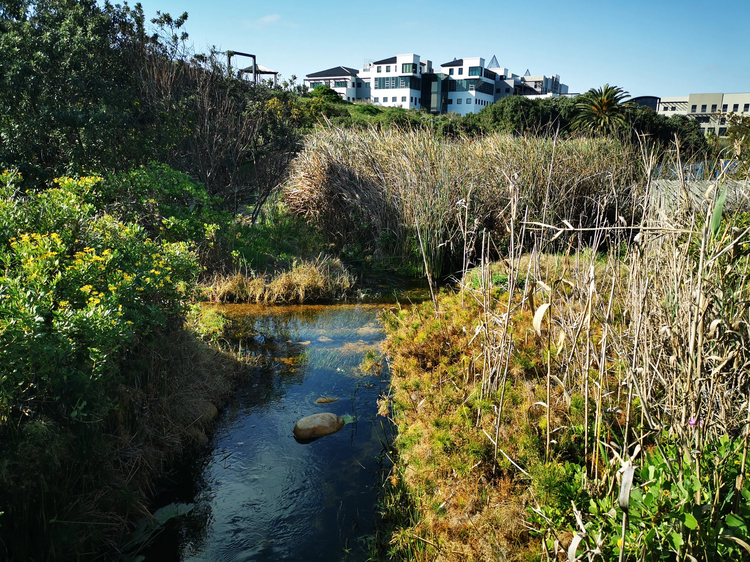 Cover media image
