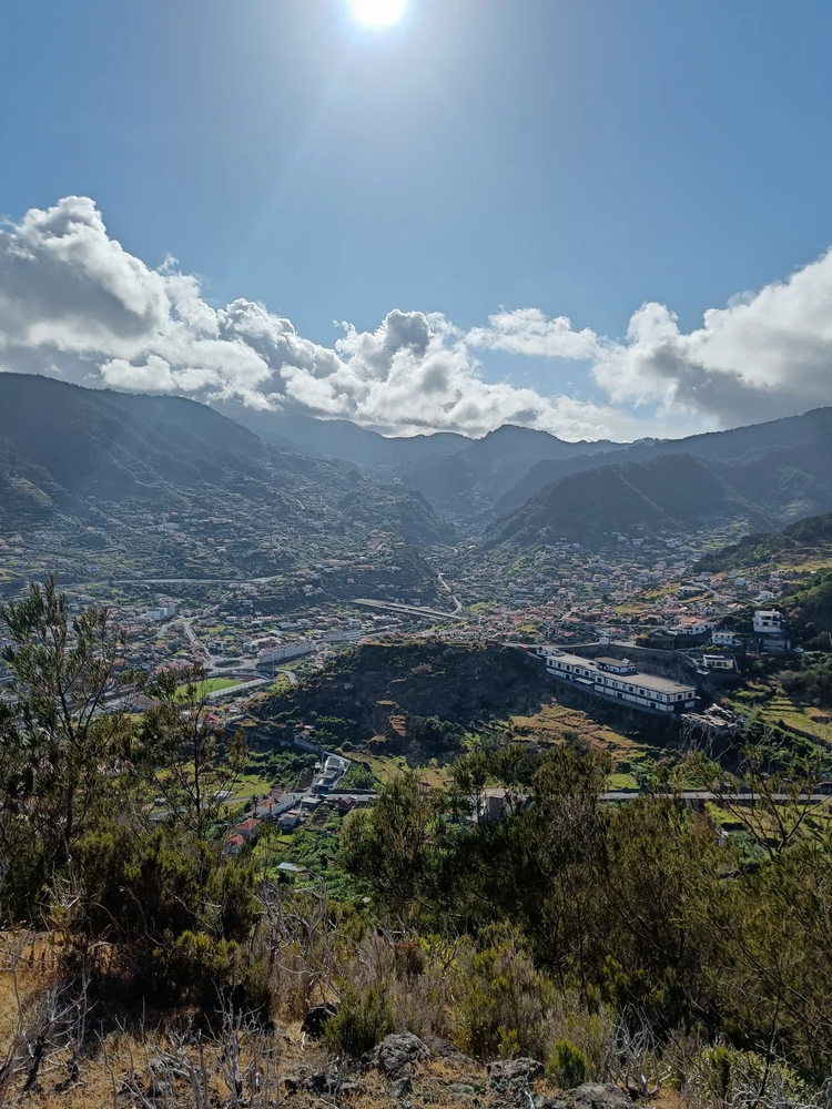Cover media image