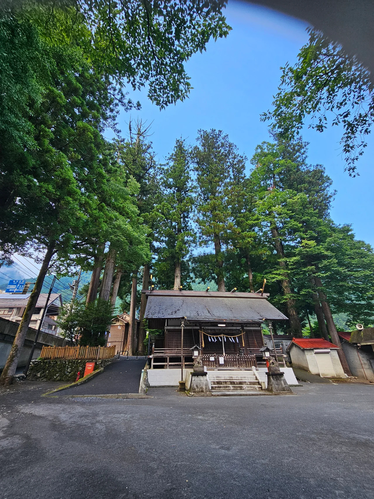 Cover media image