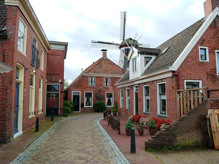 Cover media image