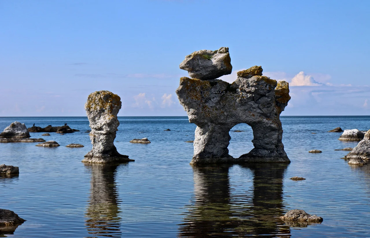 Cover media image