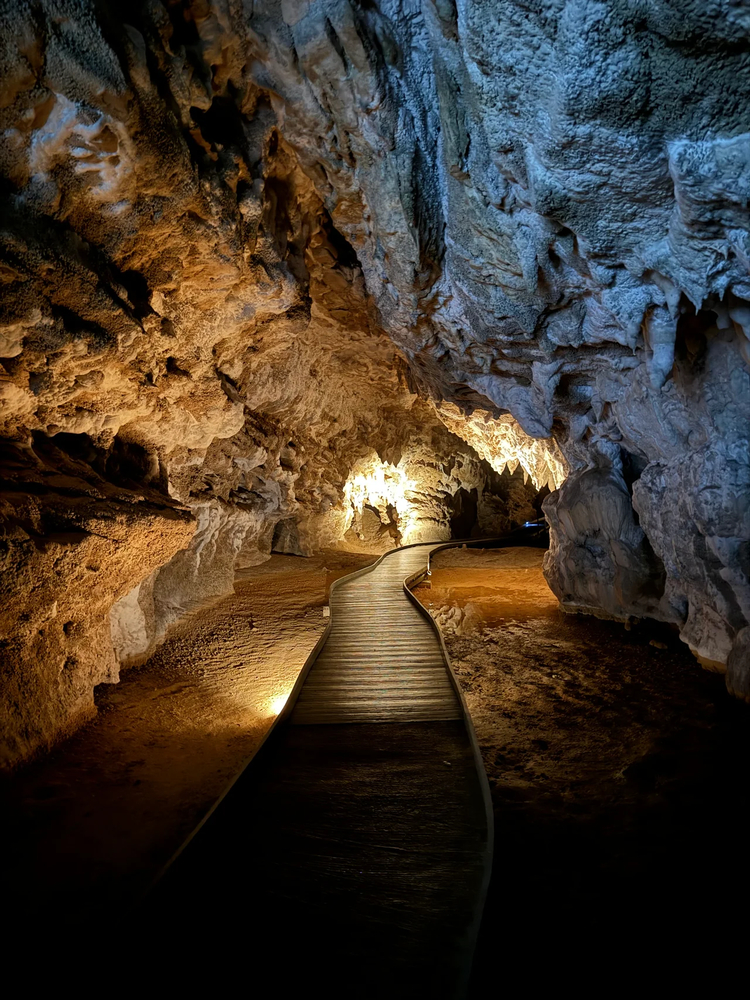 Cover media image