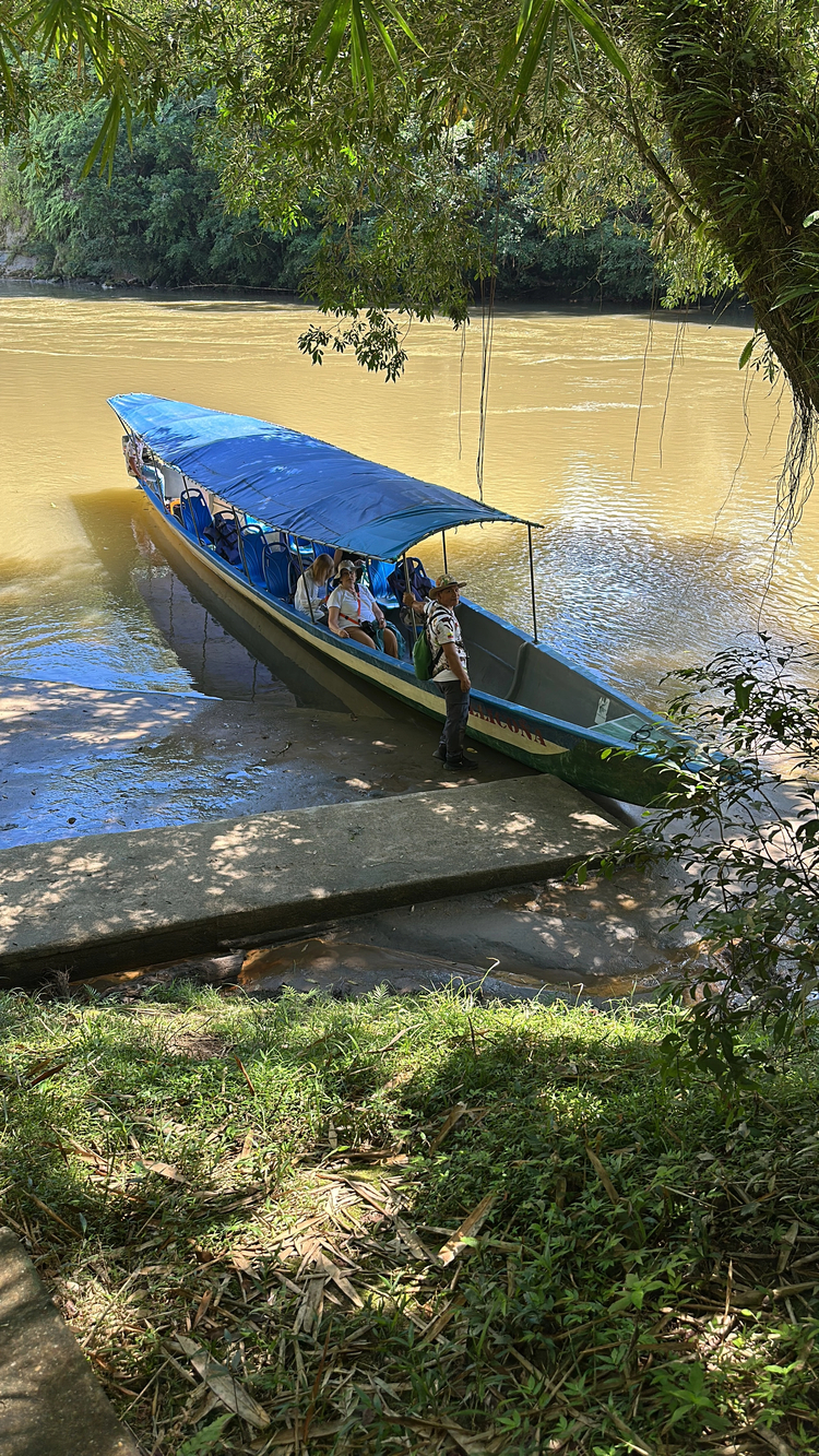 Cover media image