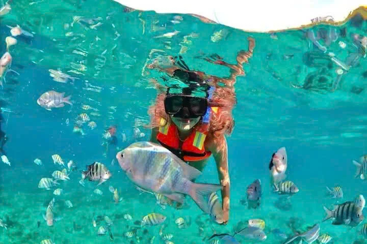 Cover media image