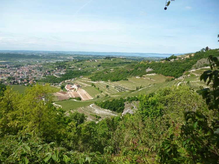 Cover media image