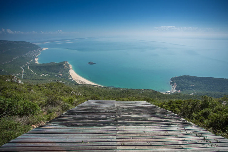 Cover media image