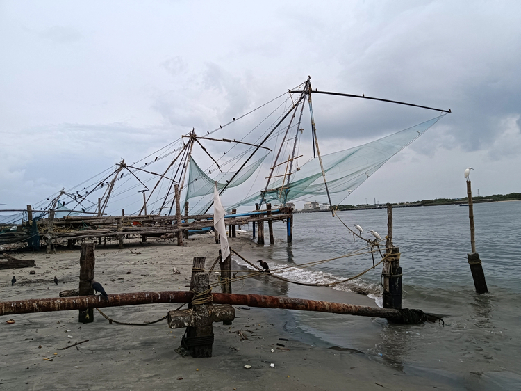 Cover media image