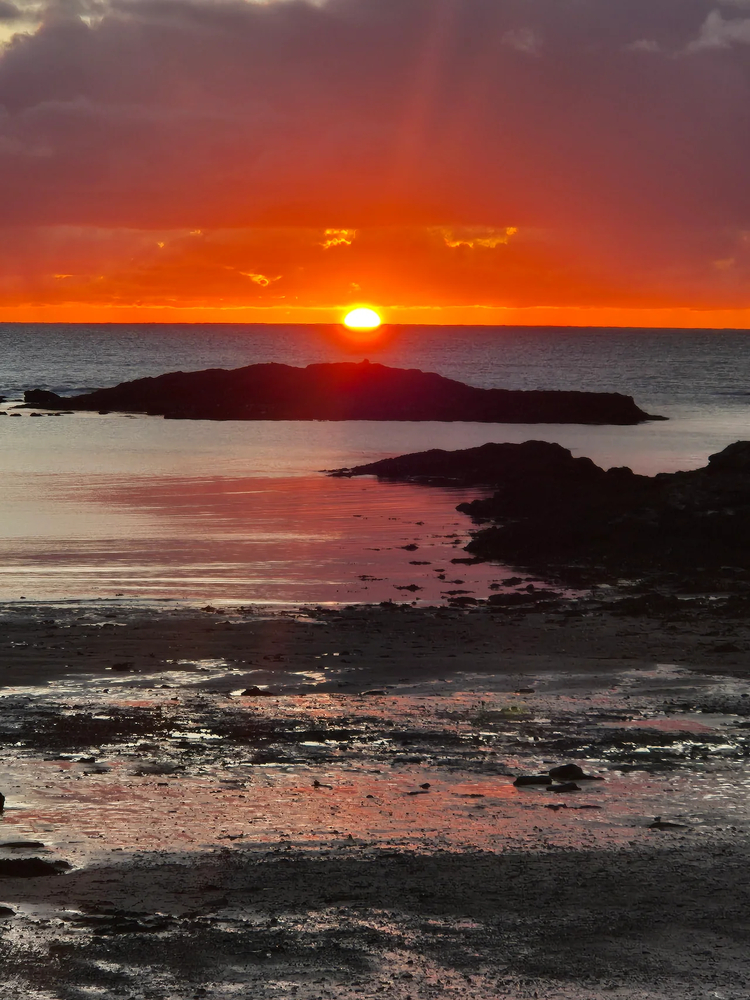 Cover media image