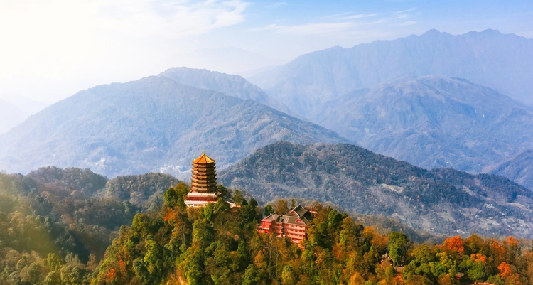 Cover media image