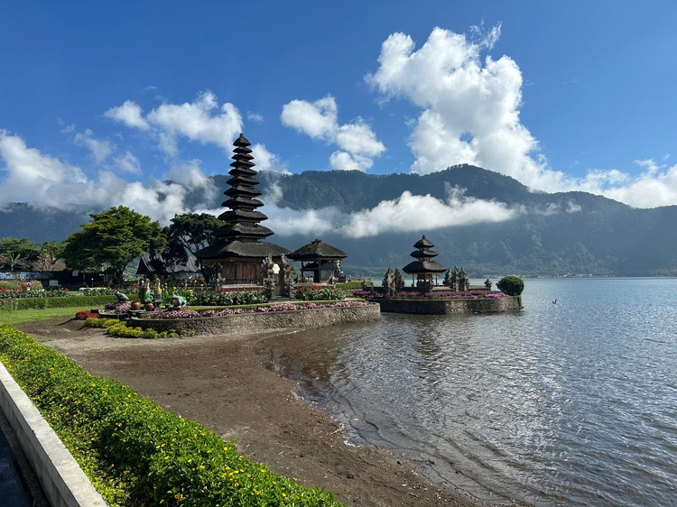 Cover media image